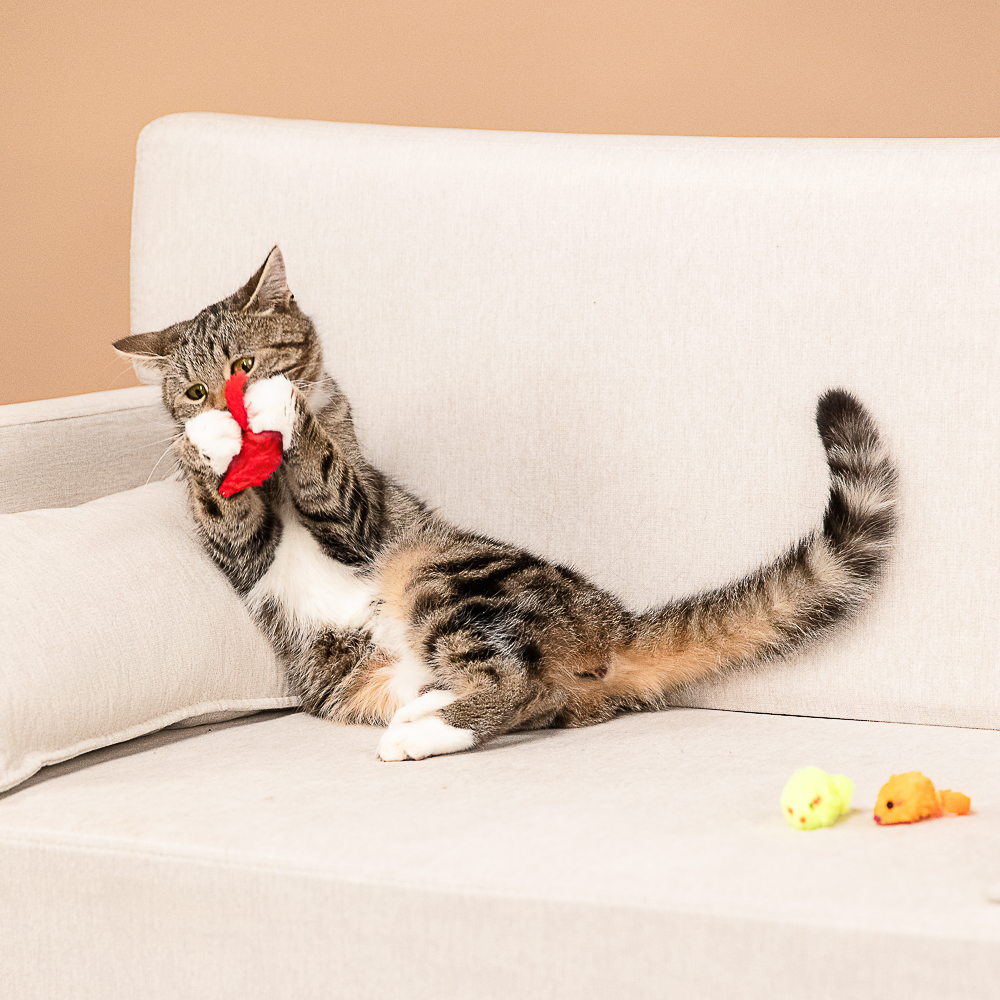 VETTA Игрушки для домашних животных, набор, 3 шт, ПЭ, 4,5 см - #13