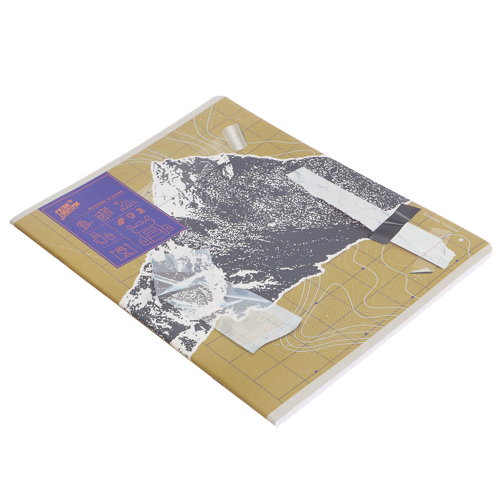 Тетрадь общая Русские Супергерои, формат А4, 48л. в клетку, на скобе, скругленные углы, в ассортим. - #19