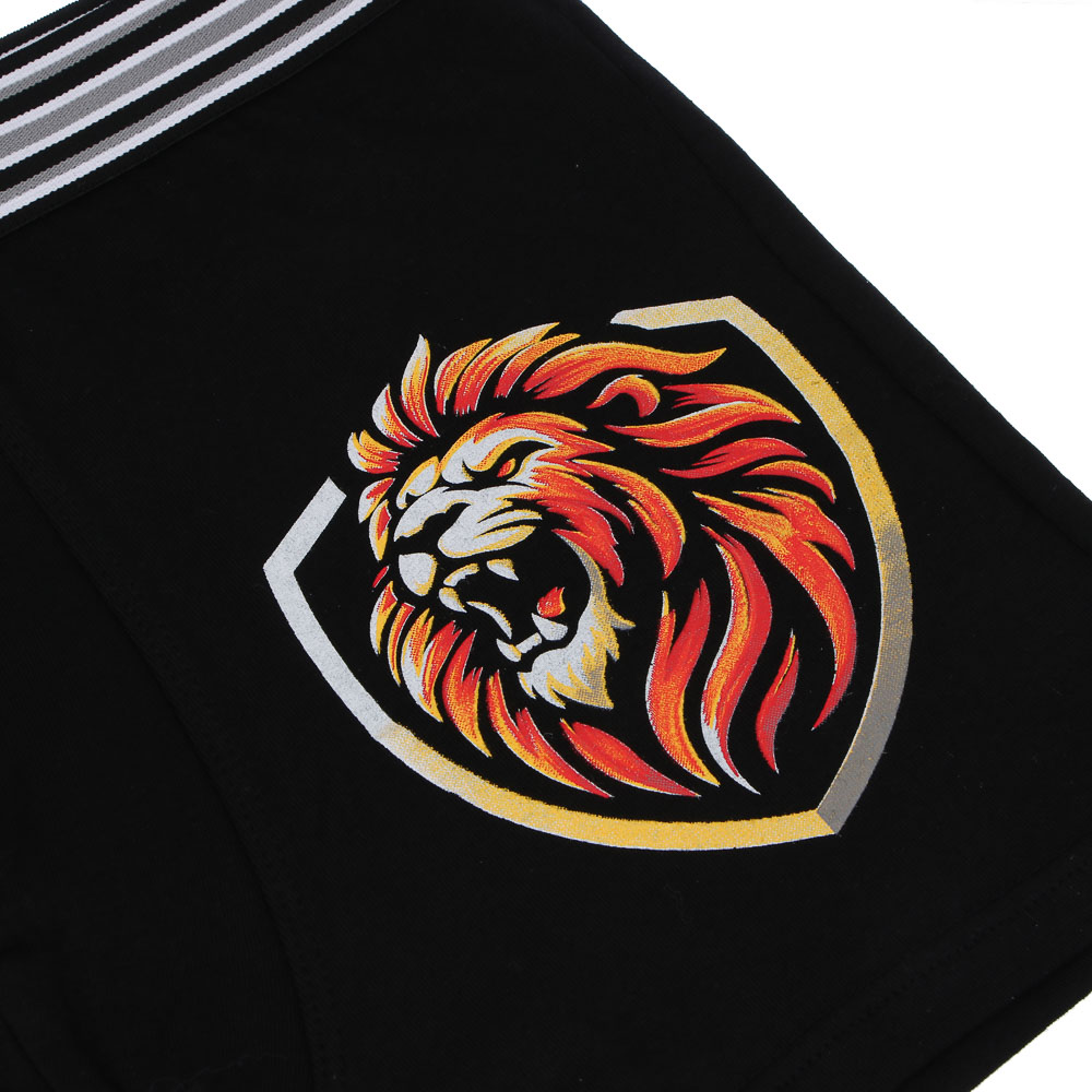 GALANTE Трусы-боксеры мужские с принтом р.50, 95%хлопок, 5%спандекс, разноцветные, НБ25-5 - #3