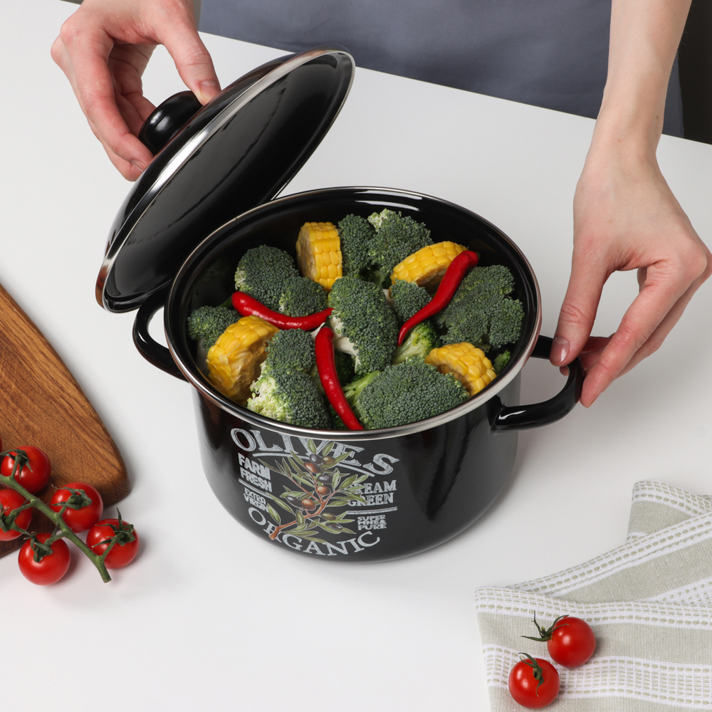 Ветка оливы Кастрюля эмалированная 3л - #7