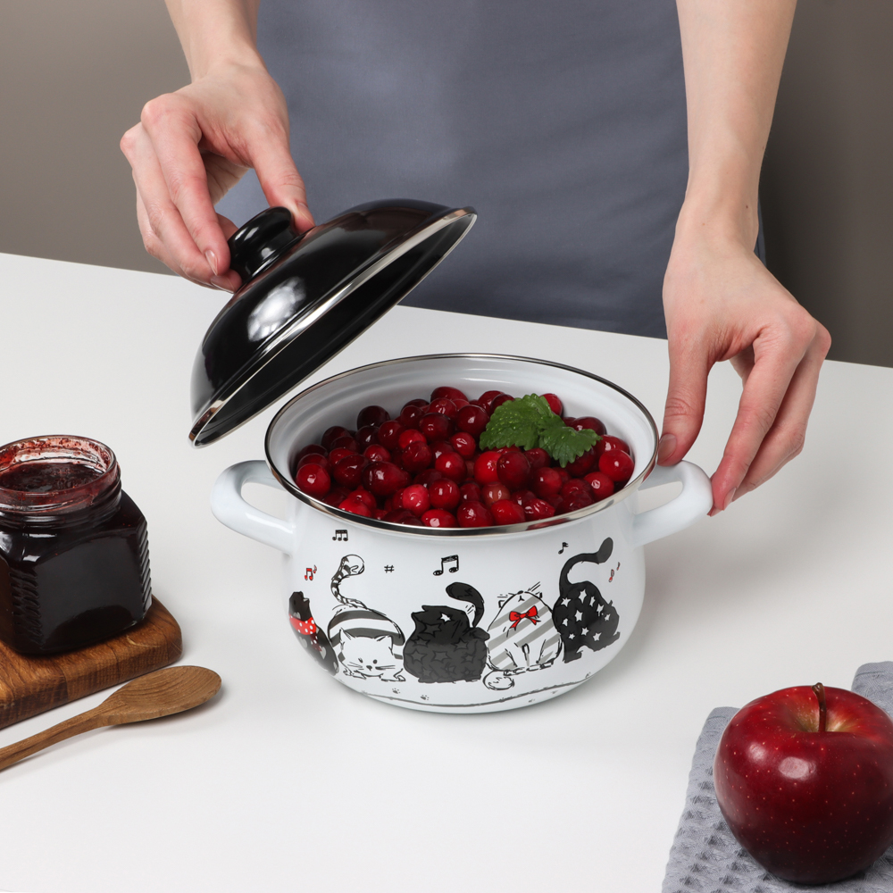 VETTA Хвостатые друзья Кастрюля эмалированная, 18см, 2,0л, индукция - #10