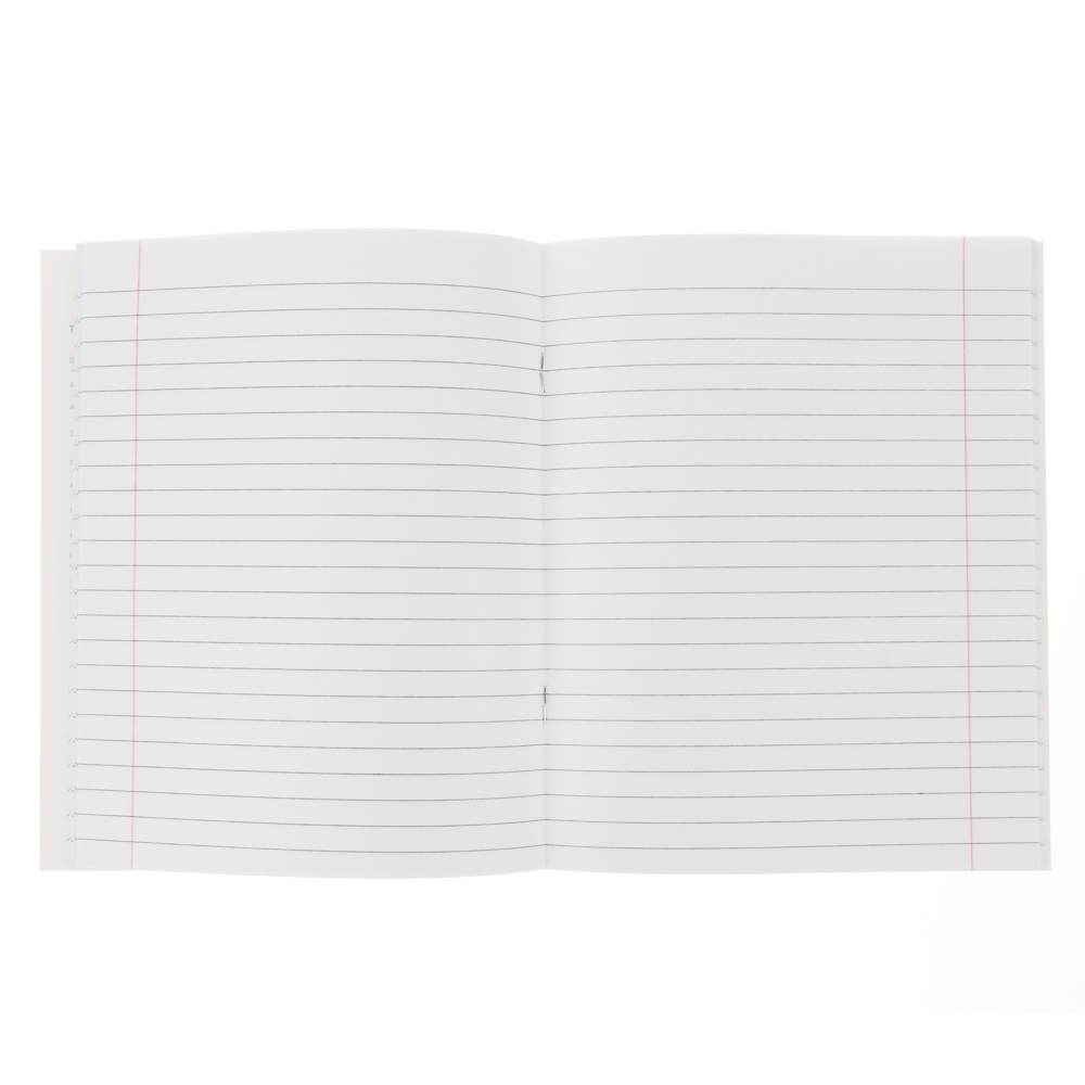 ClipStudio Тетрадь 48л. "Предметная", БЕЛЫЕ ЛИСТЫ, обл.картон, скрепка, 7 видов, справ.мат-л - #27