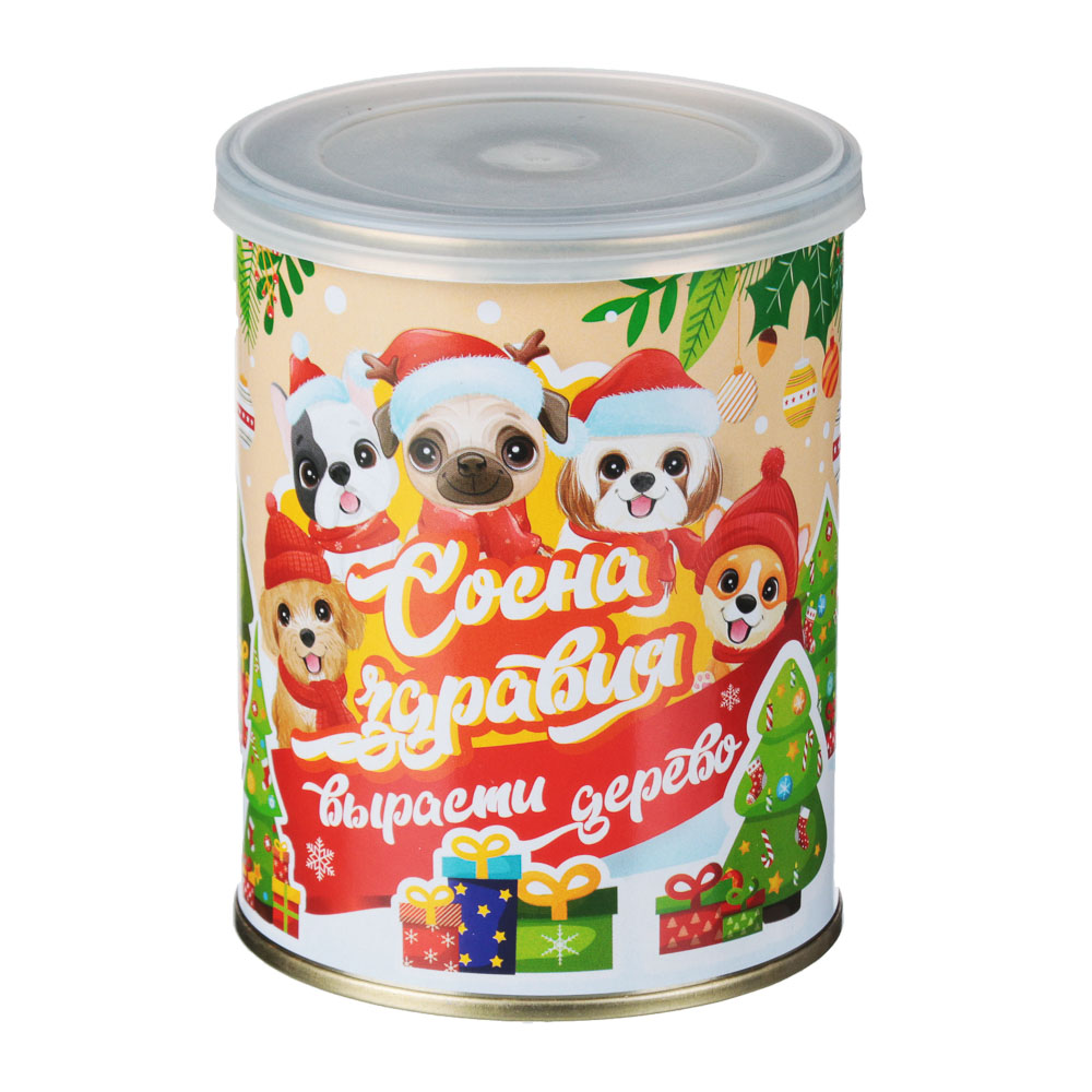 Набор для выращивания "Хвойные", ж/б банка 4 вида - #2