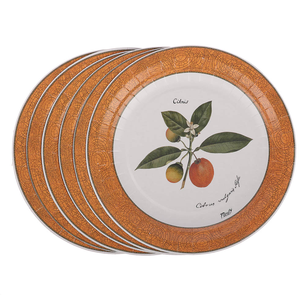 Набор бумажных одноразовых тарелок Прованс 6 шт, 18 см в ассортименте - #7