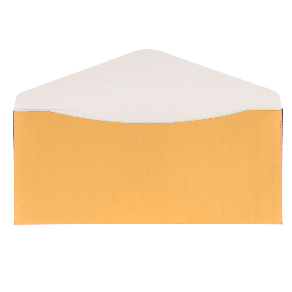 Набор конвертов 10 шт, микс цветов, 8х16,5см, бумага, арт.2 - #25