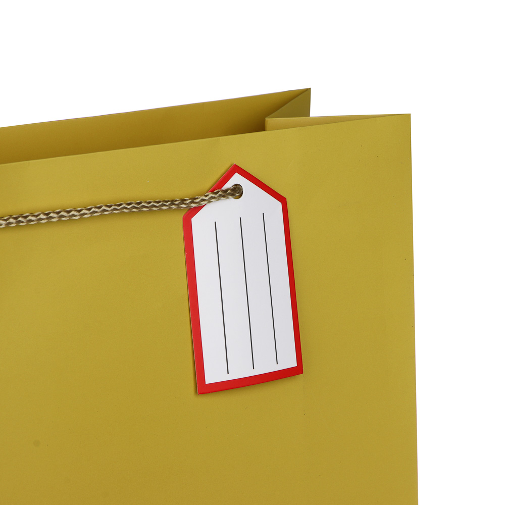 Пакет тм Fntastic подарочный, с шильдиком, XXL 40x30x12см, бумага, арт.13, 3 дизайна - #3