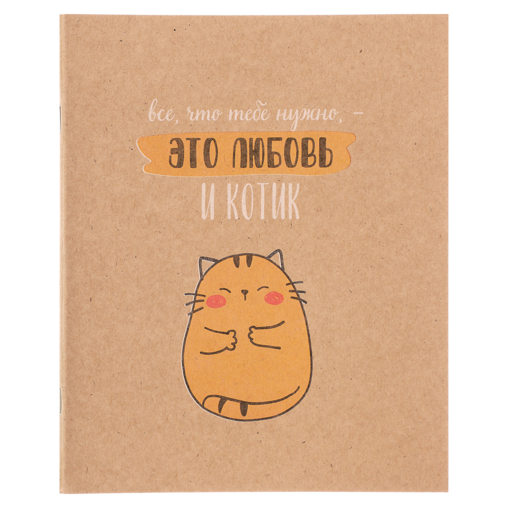 ClipStudio Тетрадь 48л. в клетку, офсет, обл. мел.картон, скрепка, крафт, 4 диз. - #10