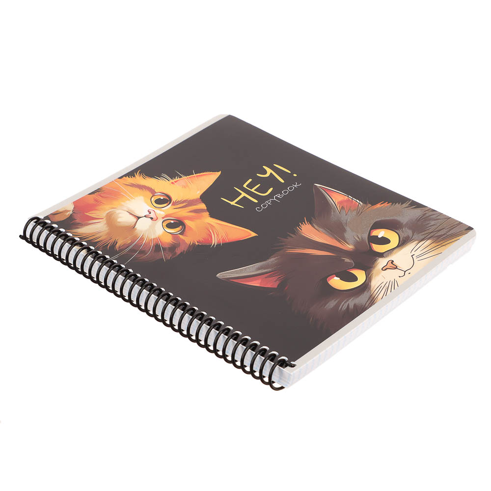 Тетрадь общая, 96 листов, в клетку, БЕЛЫЕ ЛИСТЫ, обл.мел. картон, спираль, микс - #10