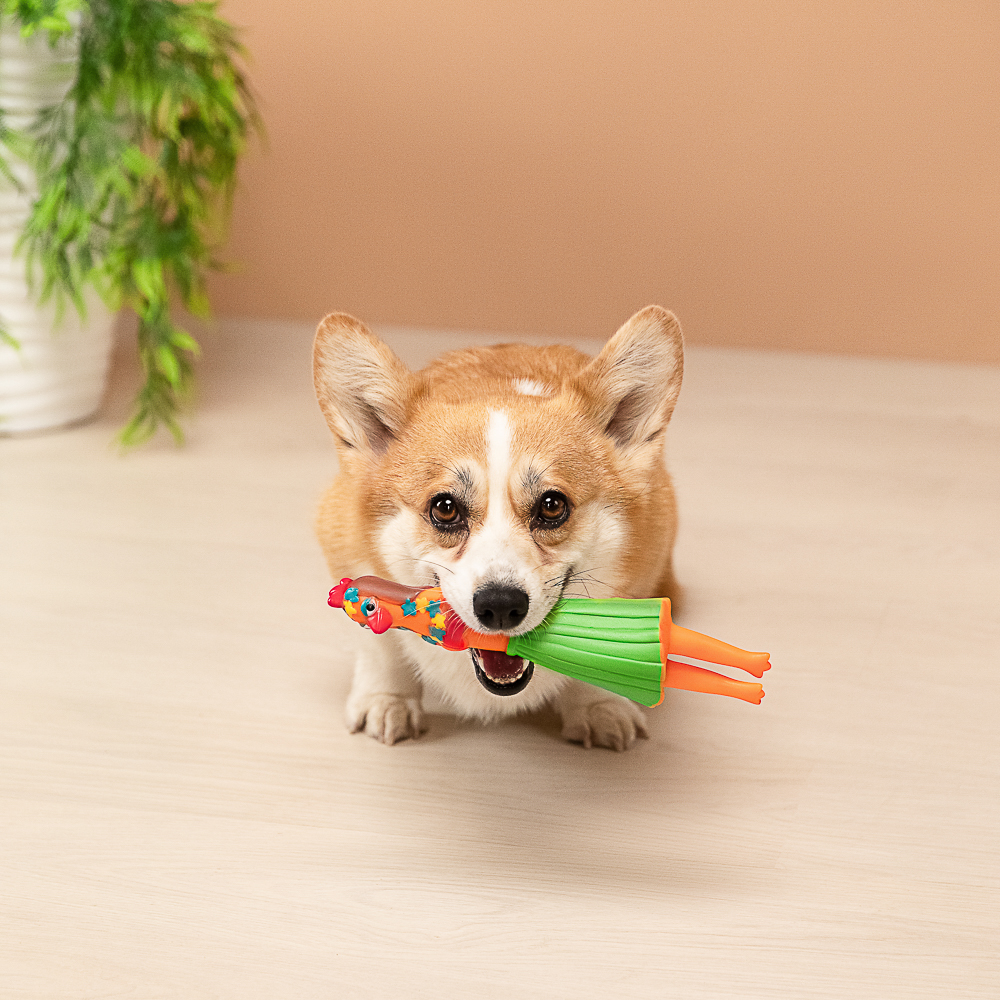 VETTA Игрушка для домашних животных, ПВХ, 25,5х6 см, танцовщица - #13