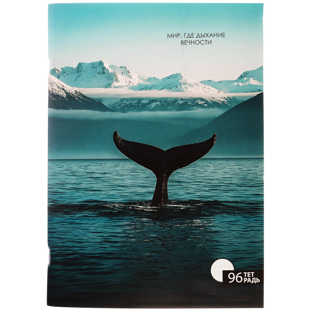 ClipStudio Тетрадь общая А4, 96 листов, в клетку, БЕЛЫЕ ЛИСТЫ, обложка картон, скрепка, 4 диз - #2