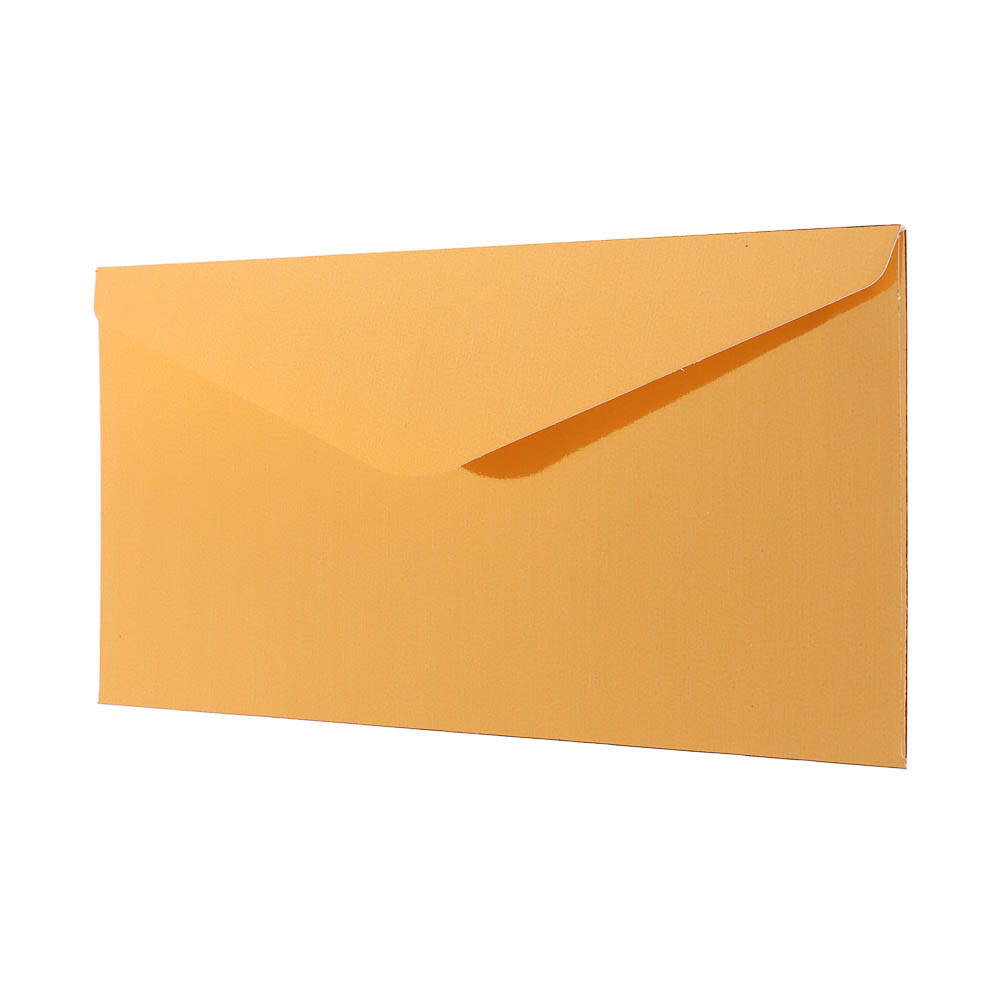 Набор конвертов 10 шт, микс цветов, 8х16,5см, бумага, арт.2 - #24