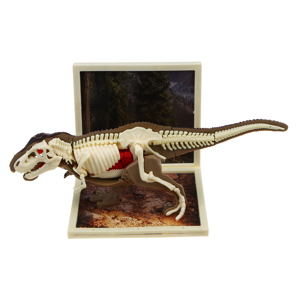 ХОББИХИТ Набор для творчества "Скелет Динозавра" 16х5х16см, 3 дизайна - #6