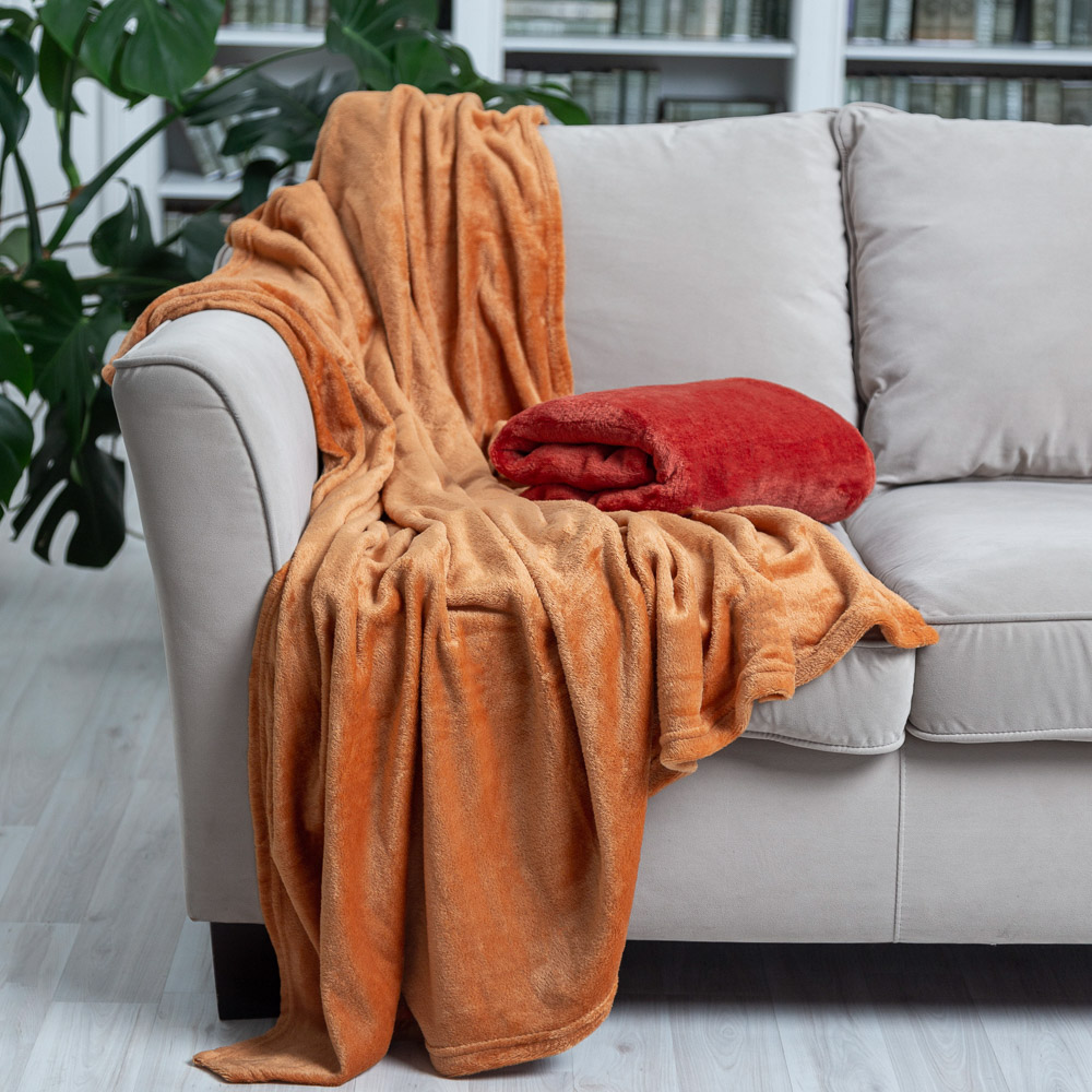 PROVANCE Плед, микрофибра, 130х150см, 180гр/м, "Уют", 2 цвета - #7