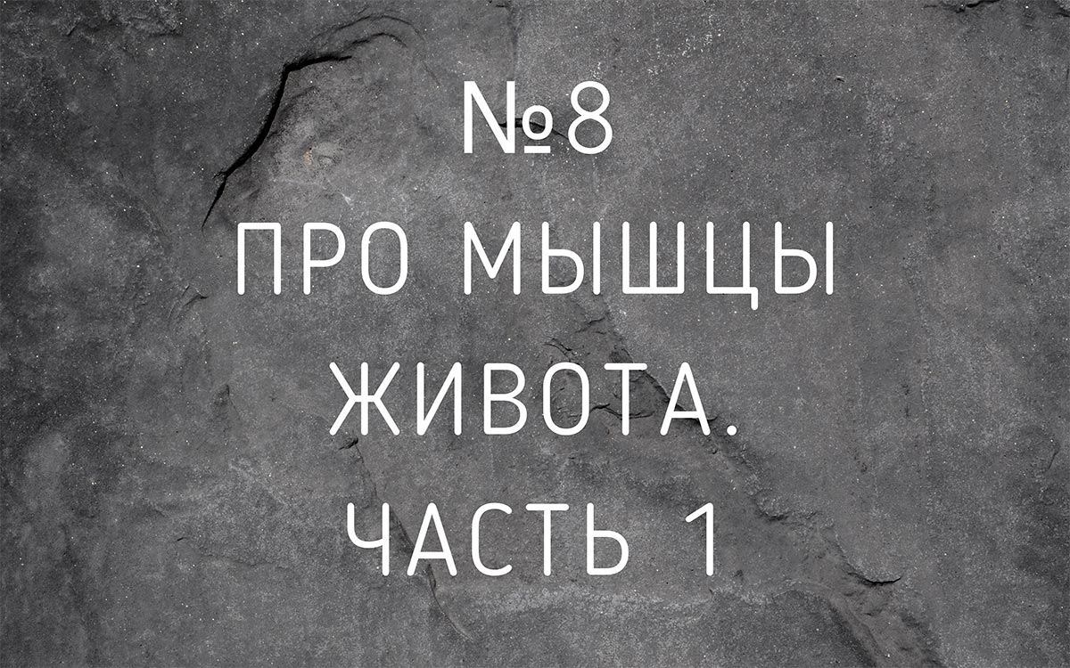 Лекция №8 Про мышцы живота. Часть 1
