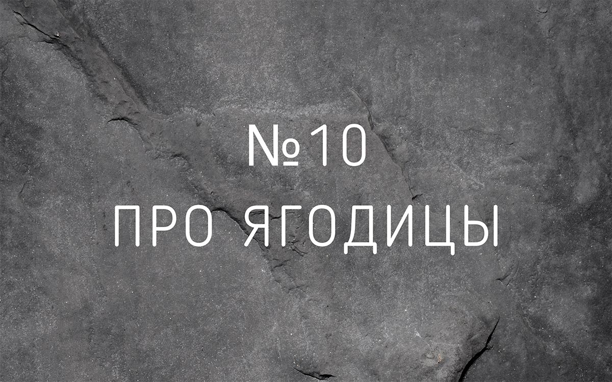 Лекция №10 Про ягодицы