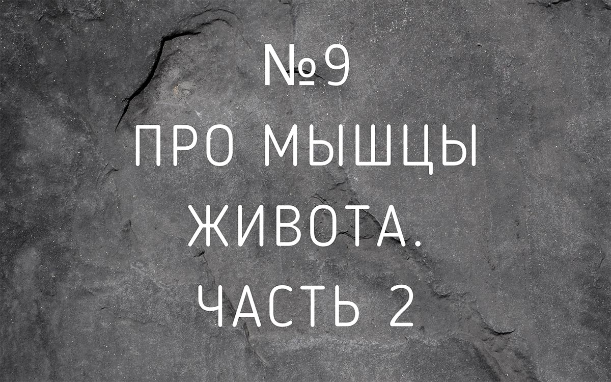 Лекция №9 Про мышцы живота. Часть 2