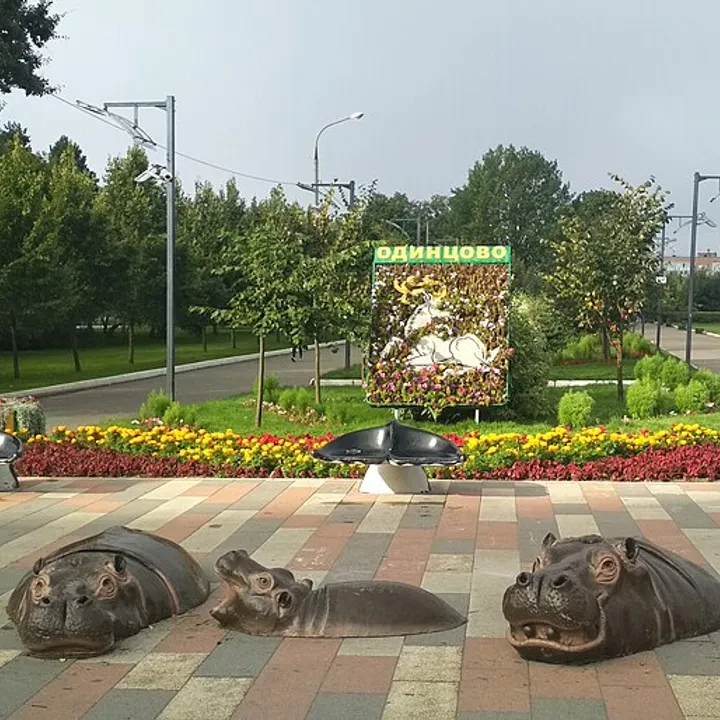 Одинцово