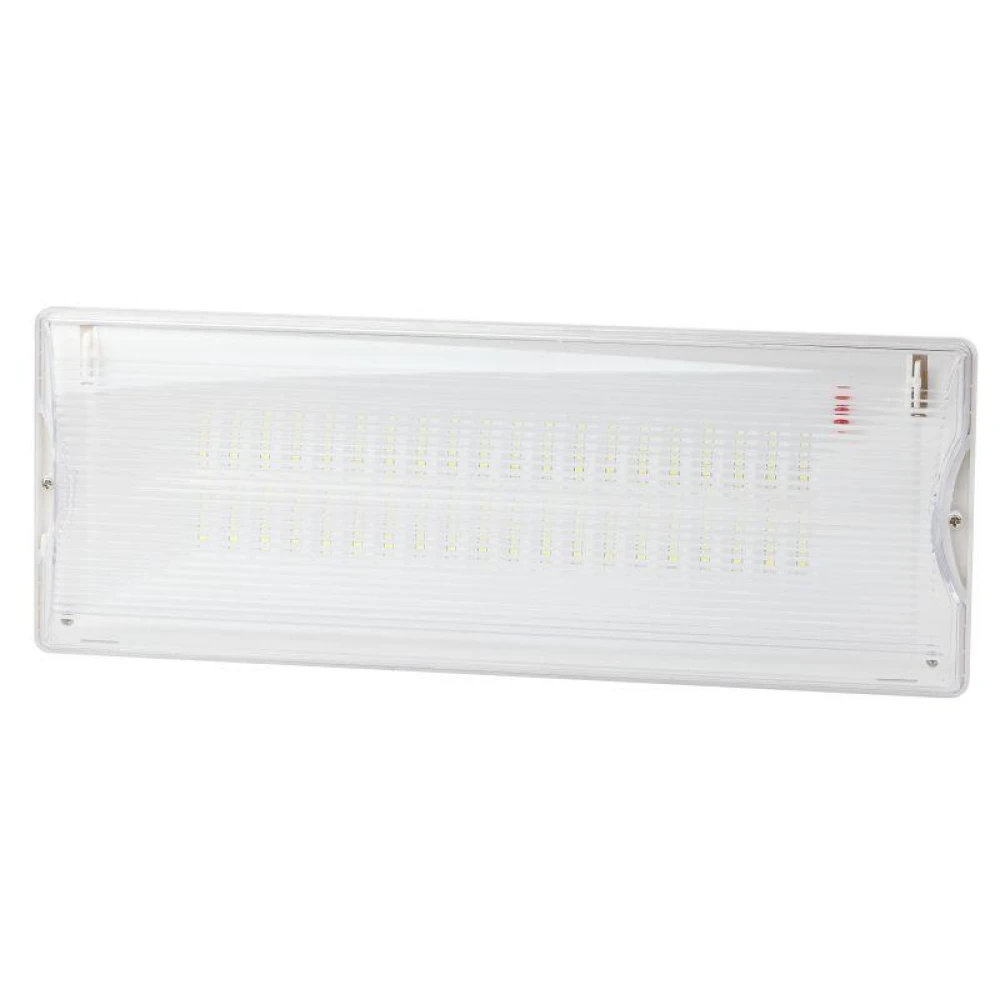 Светильник светодиодный DPA-301-0-65 40LED 3ч IP65 аварийный непостоянный Эра Б0044405