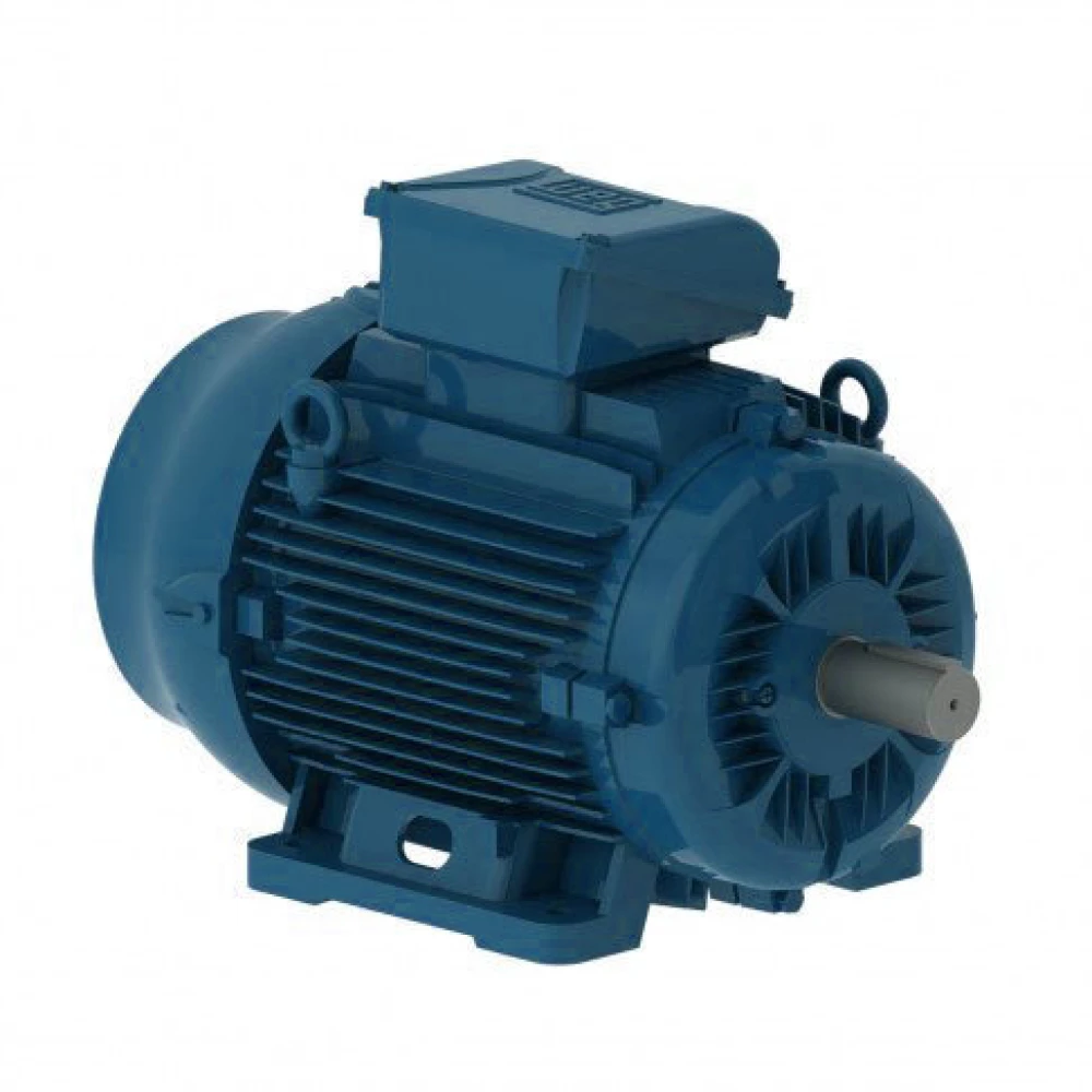 Трехфазный асинхронный электродвигатель W22-315S/M 185 KW 4P B3R(лев./пр.) 380-415/660B 50Hz