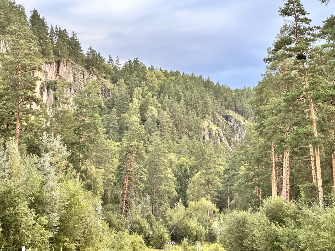 Земля «Лесной №2»