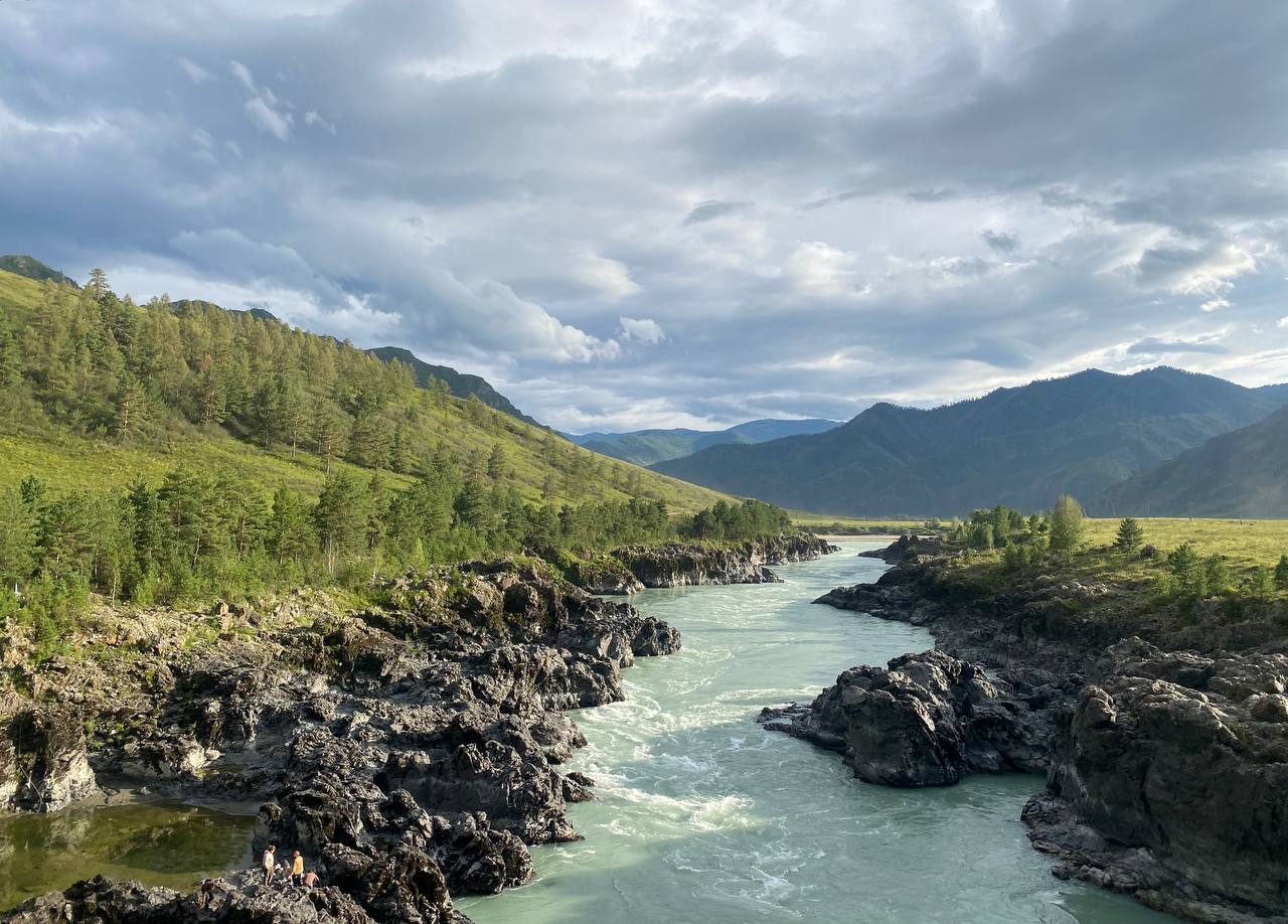 Земля «Береговая» - фото 1
