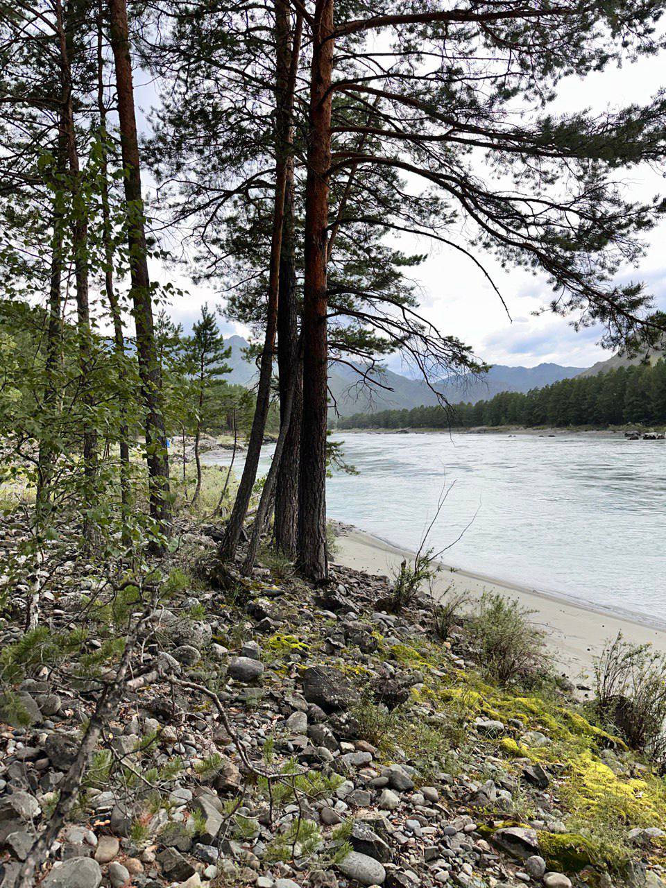 Земля «Береговая» - фото 2