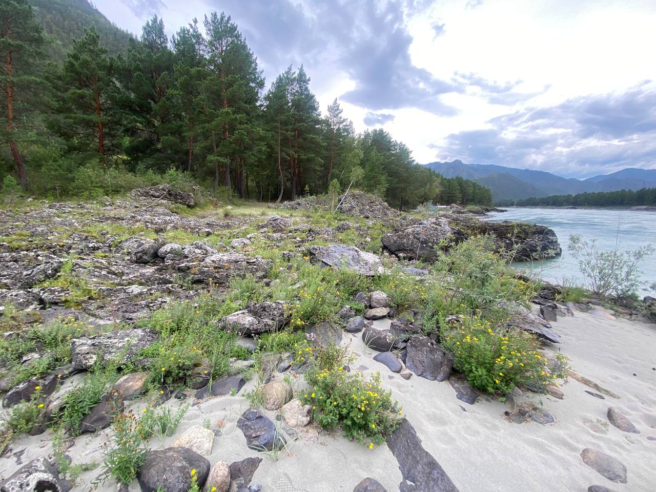 Земля «Береговая» - фото 3