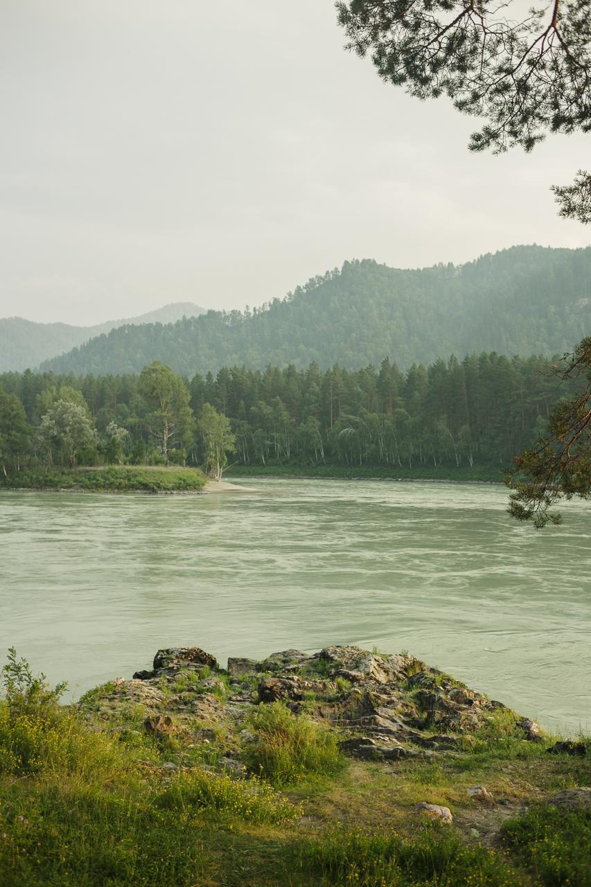 Земля «Сосновая поляна»