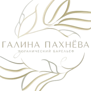 Зона барельефа