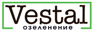Vestal
