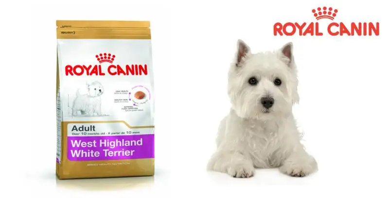 Royal Canin