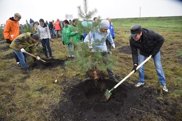 Акция «Живи, лес» в Белово, 14 сентября 2019 г