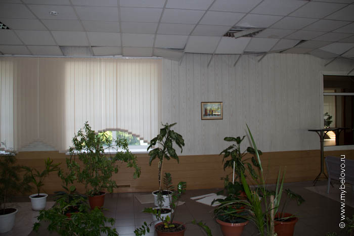 Последствия землетрясения в Бачатском, 19 июня 2013 г