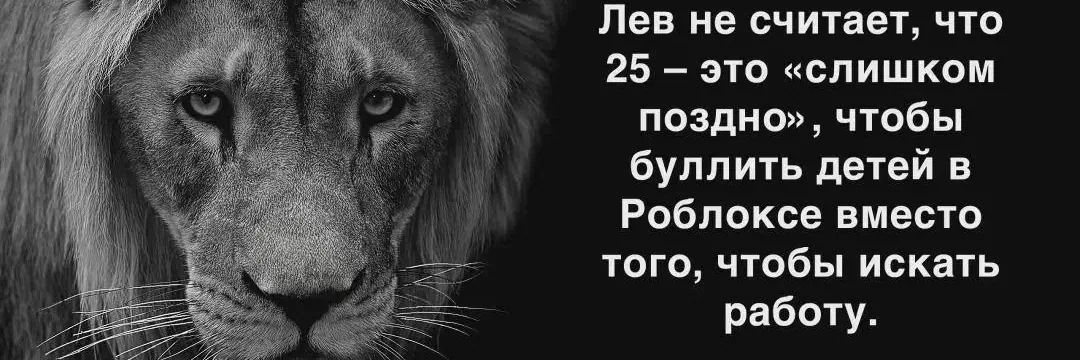 Баннер профиля
