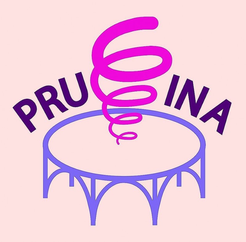 Pruzhina
