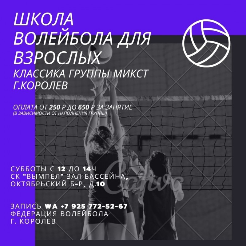 Федерация волейбола г. Королев