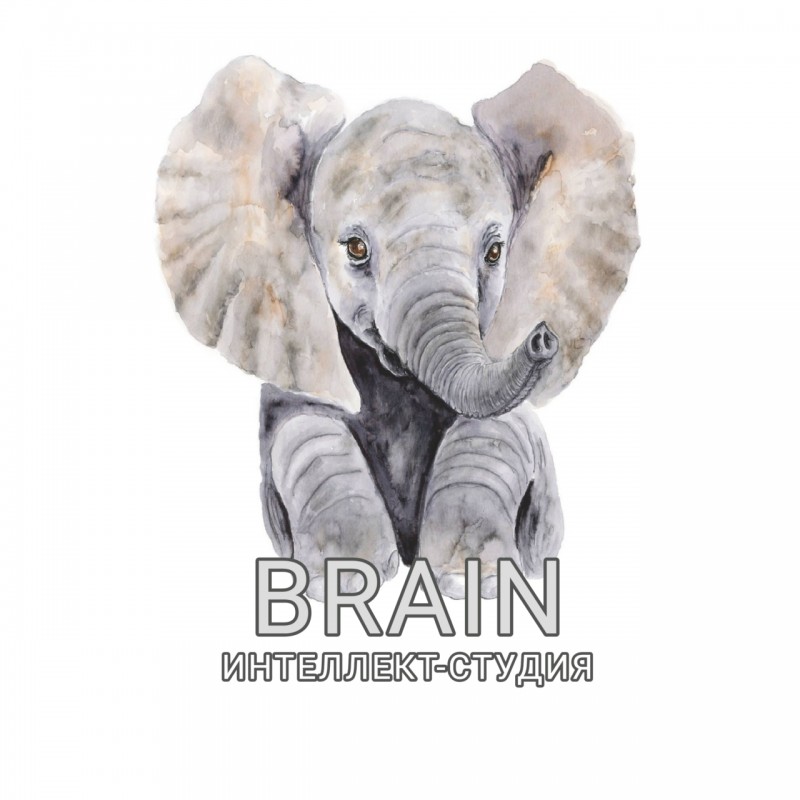 Интеллект-студия Brain