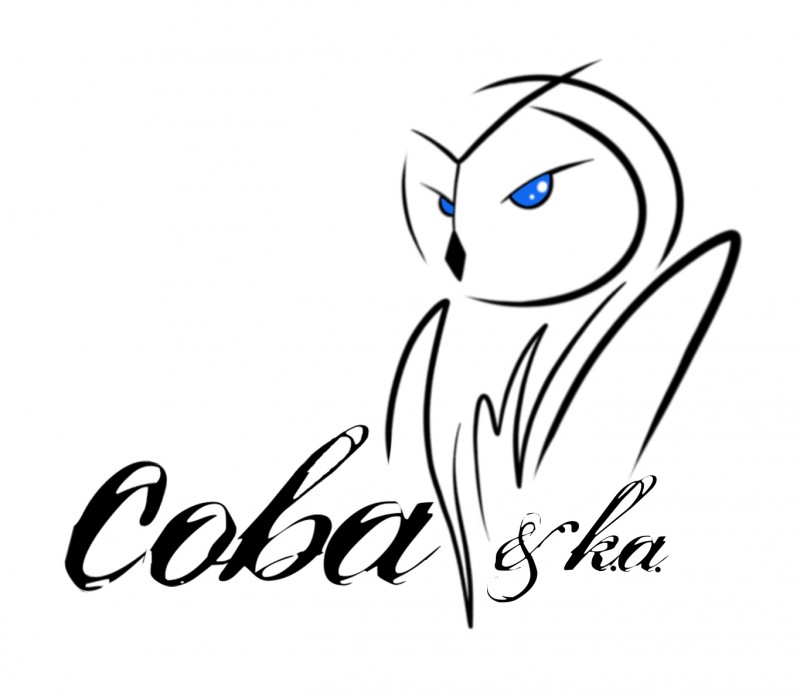 Центр интеллектуального развития "Сова&k.а"