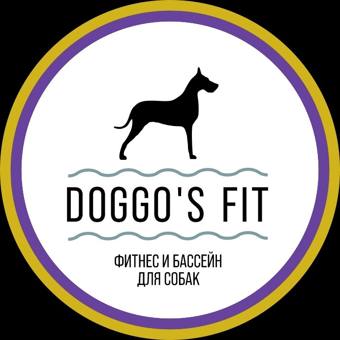 Doggo's Fit