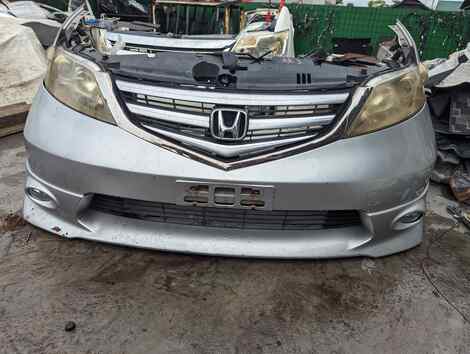 Купить Ноускат для Honda Elysion