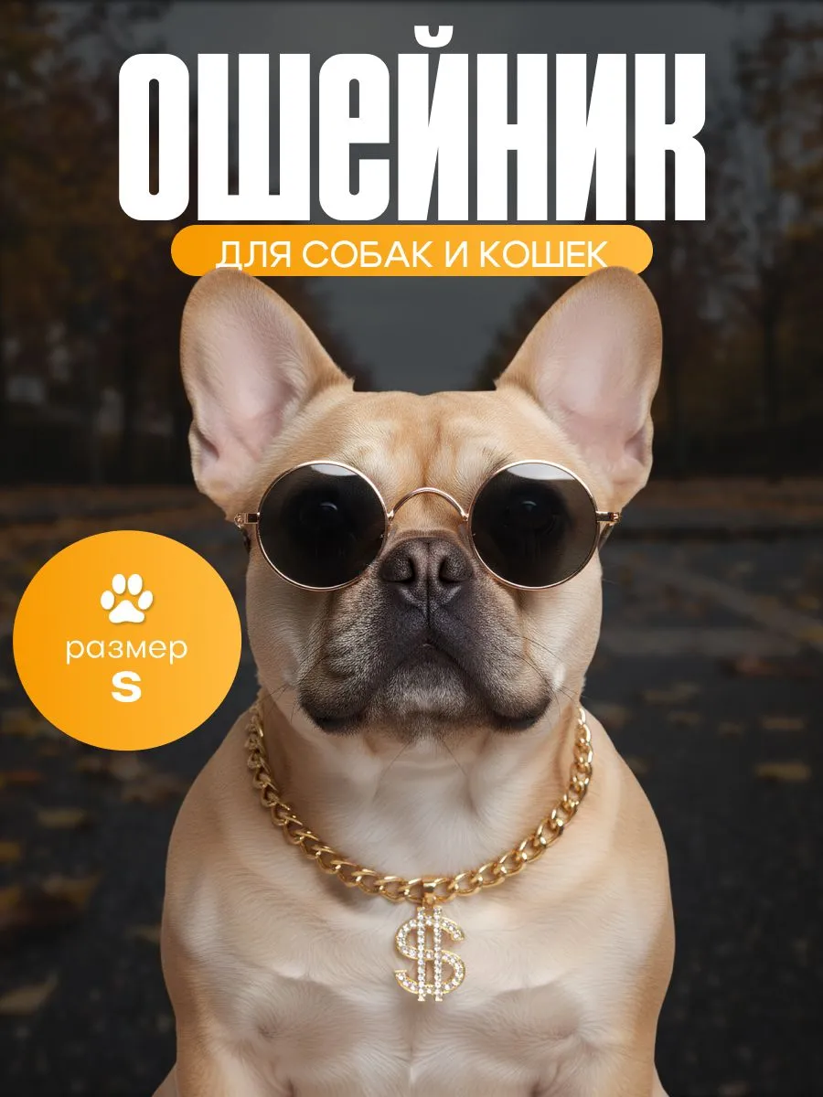 Золотистый ошейник-цепочка для собак мелких пород и кошек, размер S