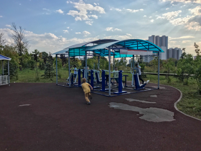 Игровая площадка, миниатюра фото 2