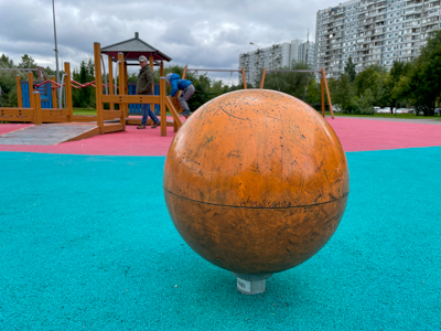 Площадка с зеброй, миниатюра фото 17