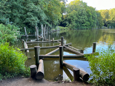 Водная полоса препятсвий — на озере Гроте Вейвер в Амстердамском лесу 🇳🇱