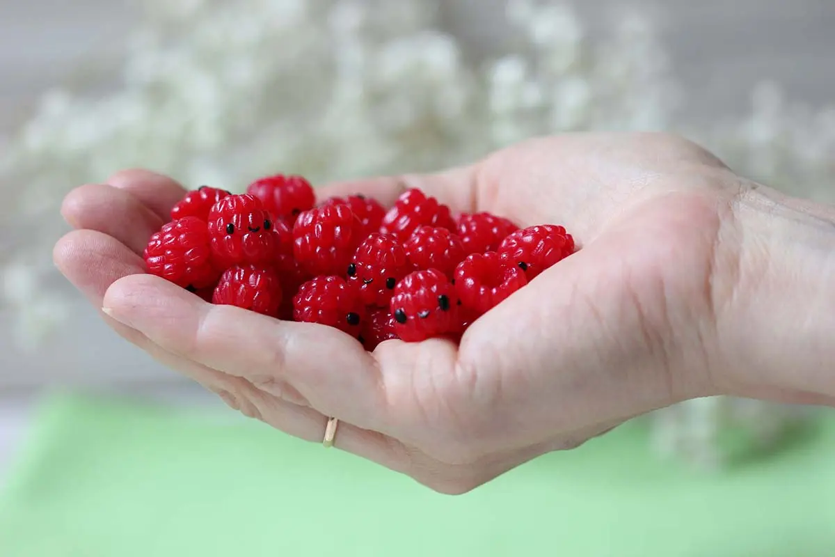 Berries — image 2