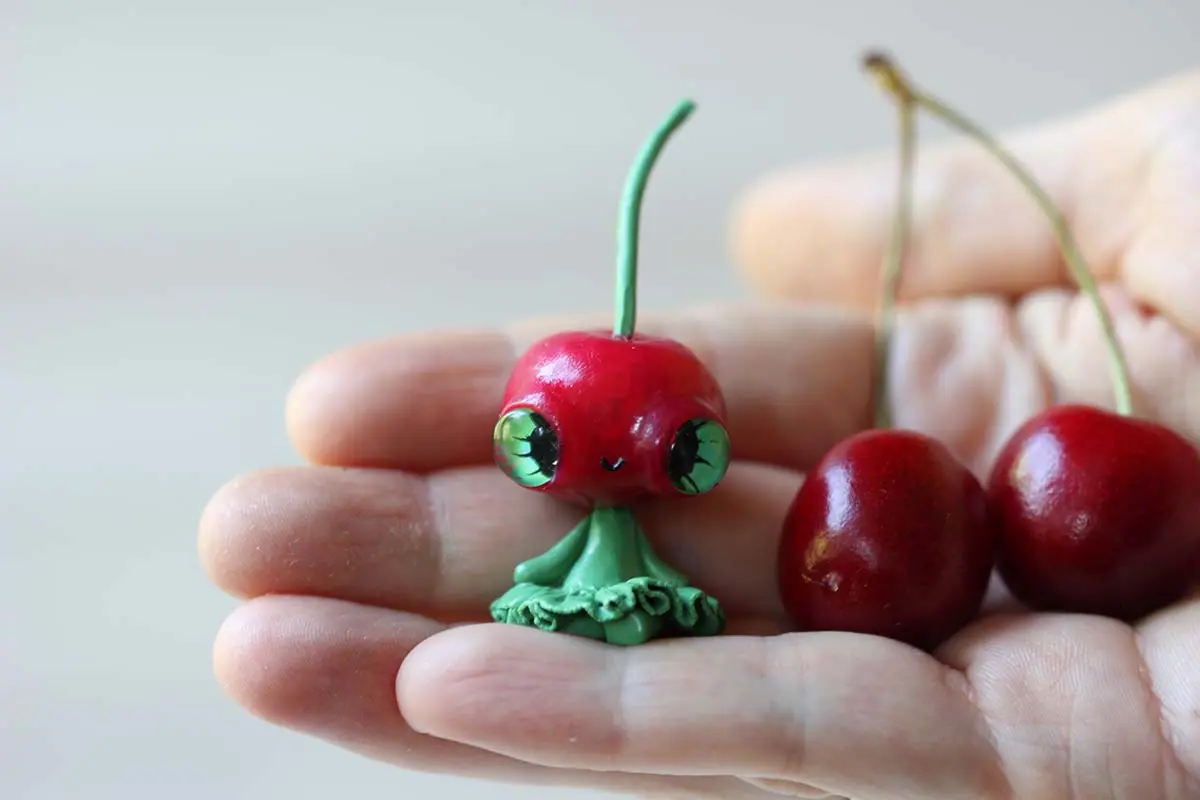 Berries — image 4