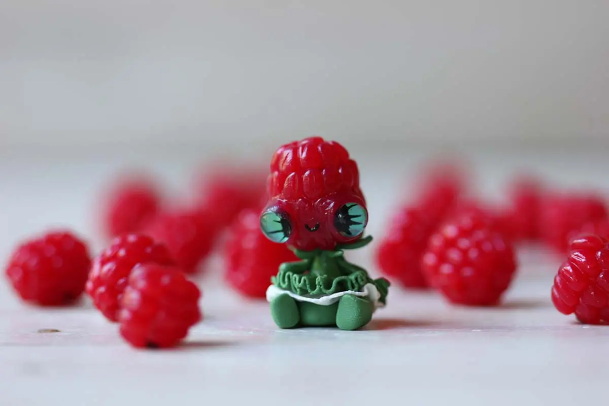 Berries — image 7