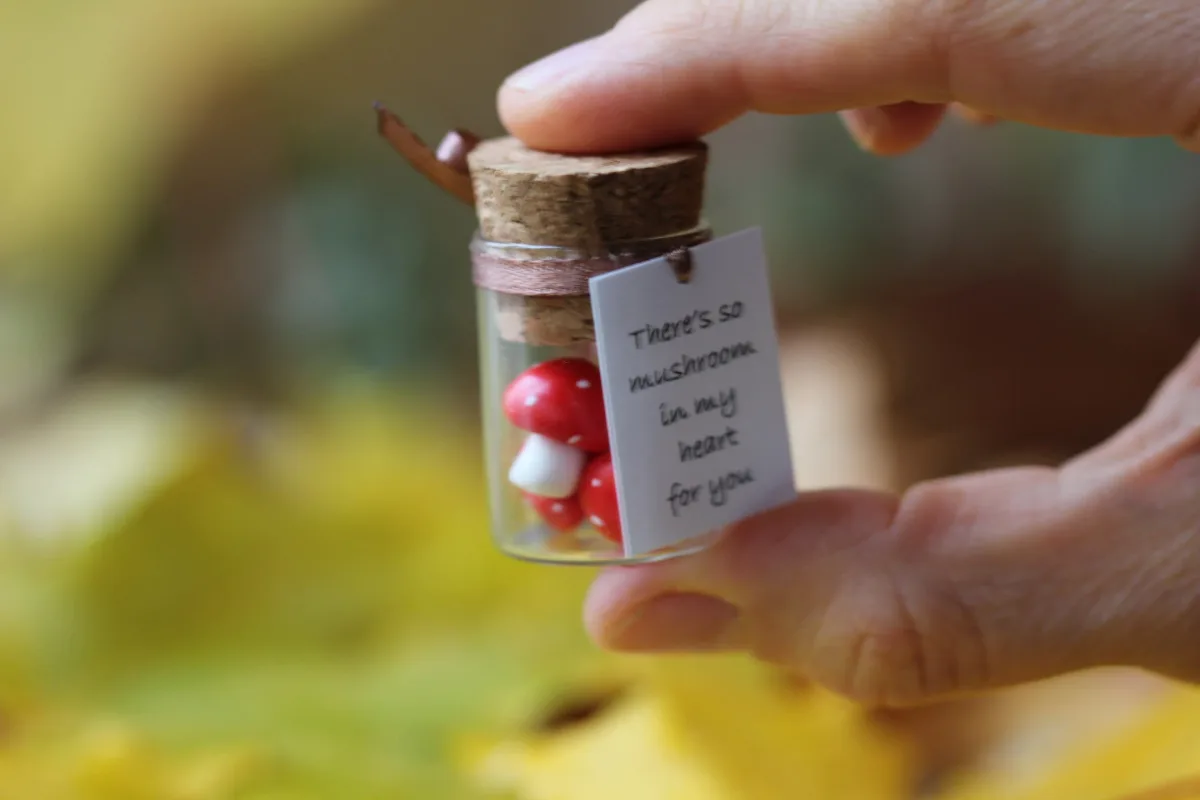 Fly Agaric Miniature Polymer Clay Figurine Mushroom Quarantine Gift Vegan Gift Personalized Gift Boyfriend Girlfriend Romantic Funny Present 1