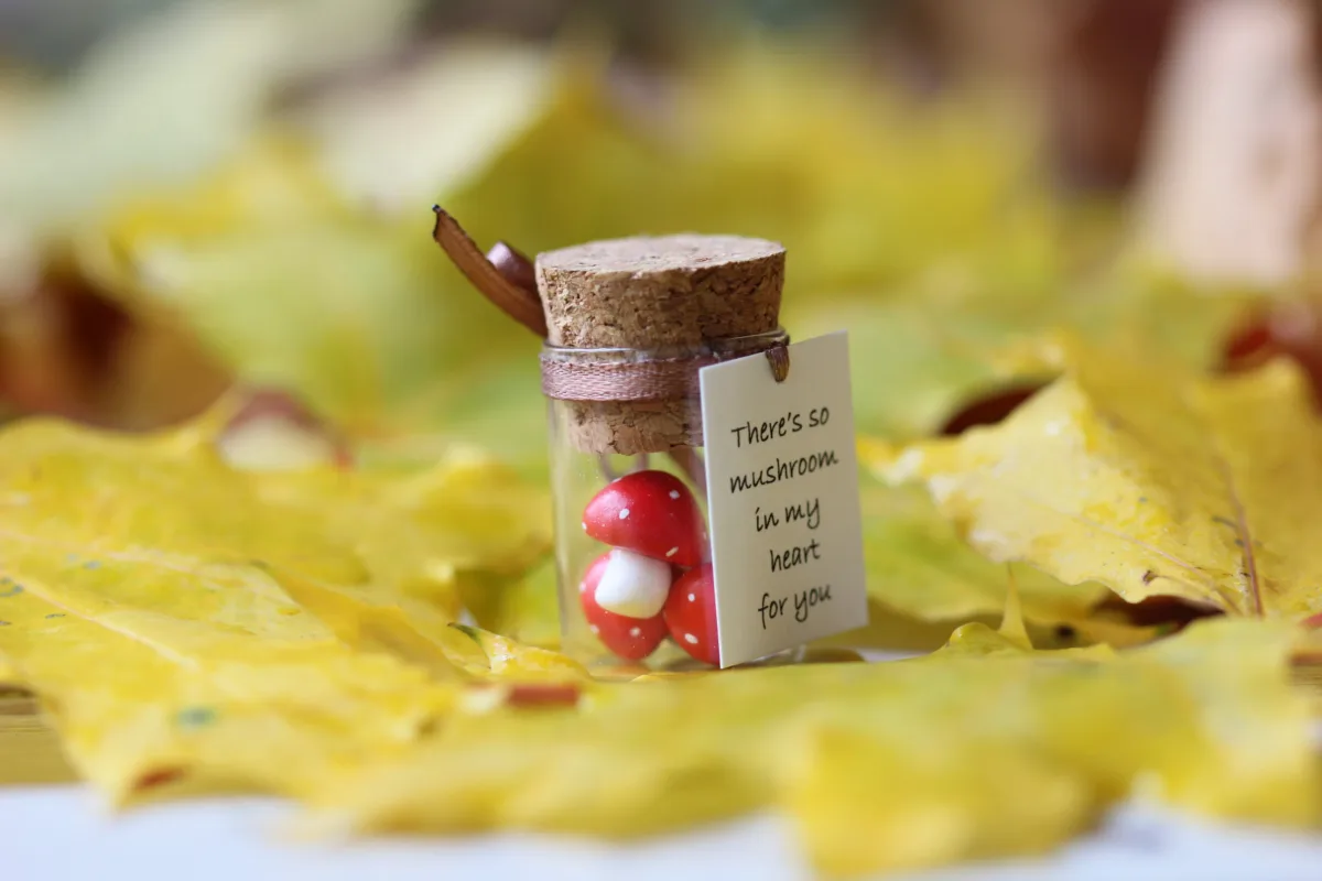 Fly Agaric Miniature Polymer Clay Figurine Mushroom Quarantine Gift Vegan Gift Personalized Gift Boyfriend Girlfriend Romantic Funny Present 2