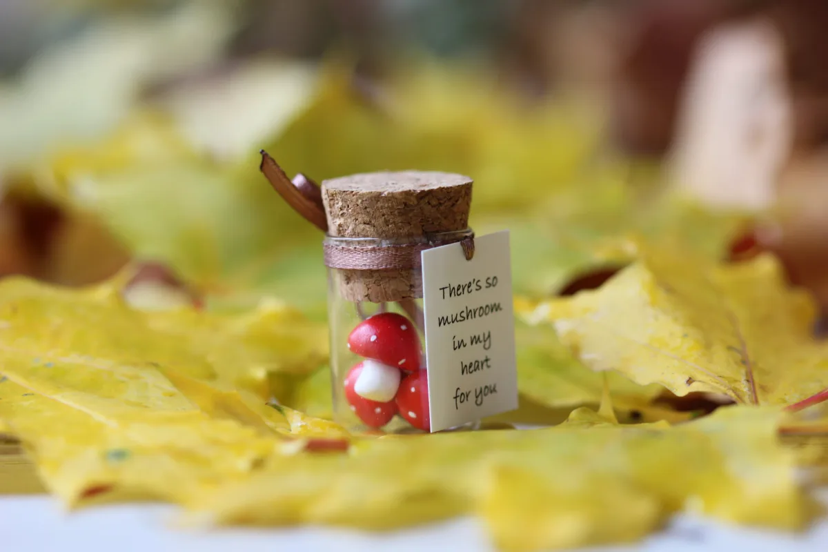 Fly Agaric Miniature Polymer Clay Figurine Mushroom Quarantine Gift Vegan Gift Personalized Gift Boyfriend Girlfriend Romantic Funny Present 4